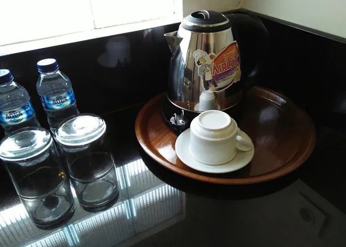 Hotel Vansari