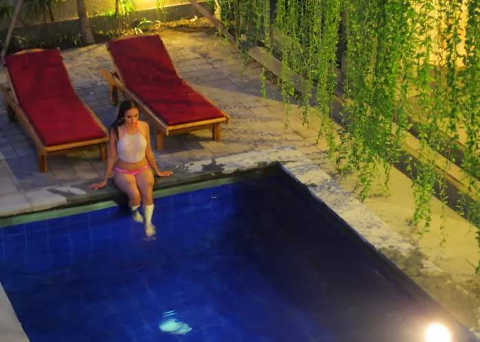 Hotel Vansari